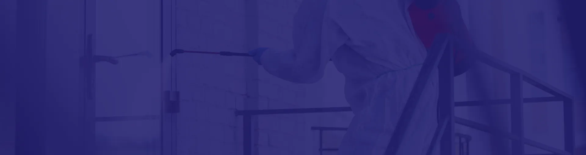 böcek ilaçlama header